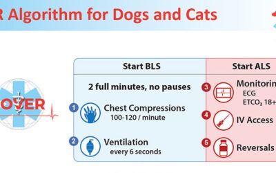 Recover CPR Updated Guidelines