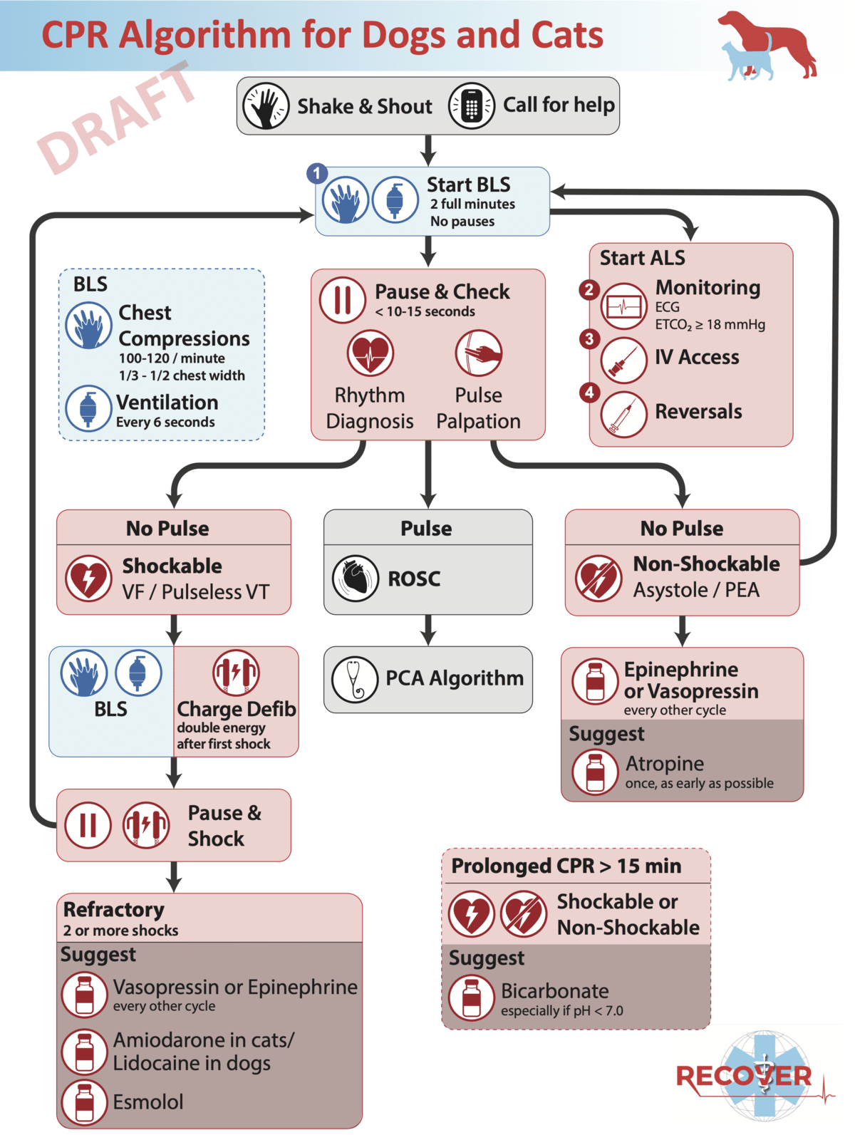 Recover CPR Updated Guidelines - Vetrinurse CPD